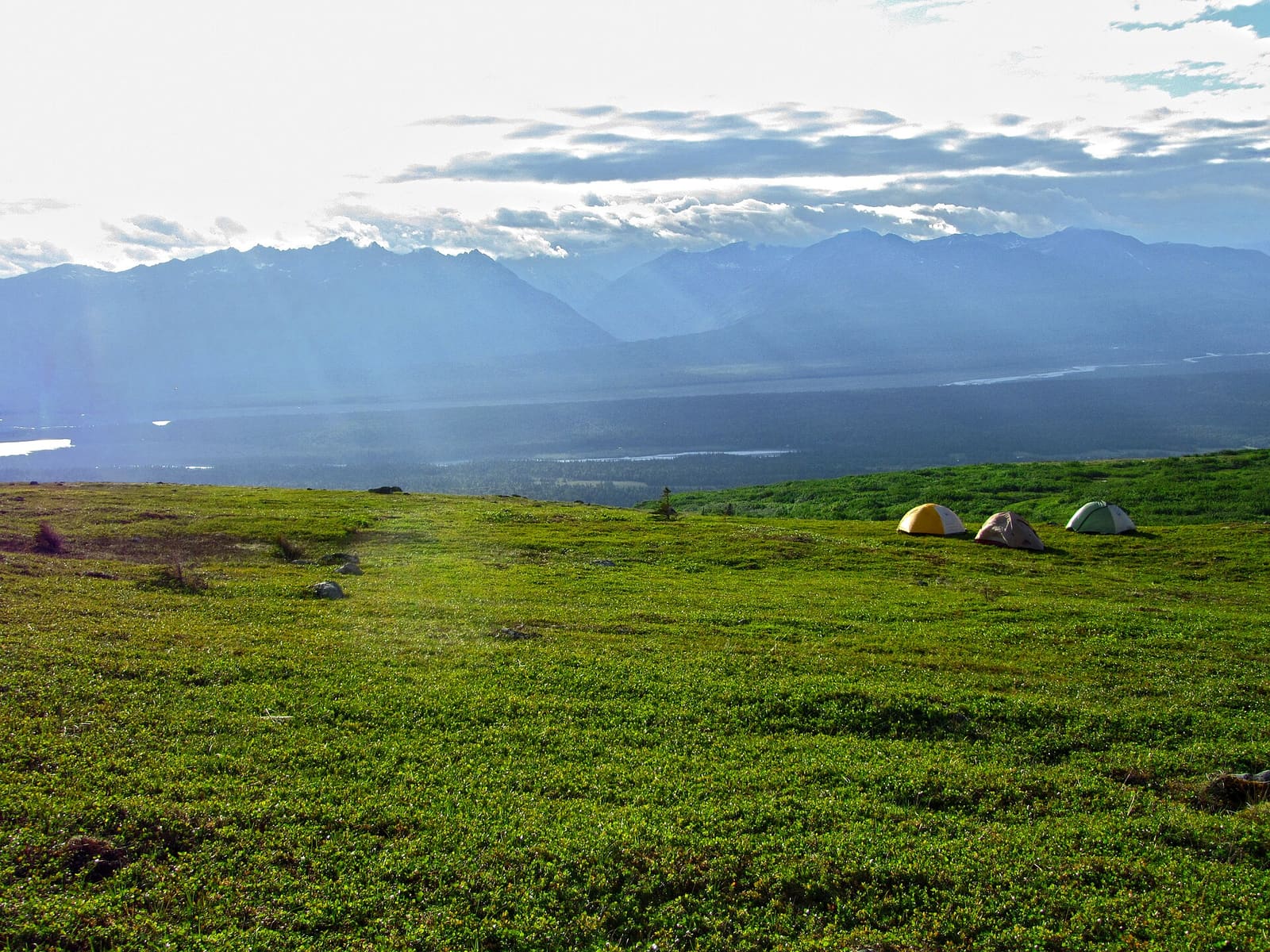 Alaska: Camping along Kesugi Ridge under Denali