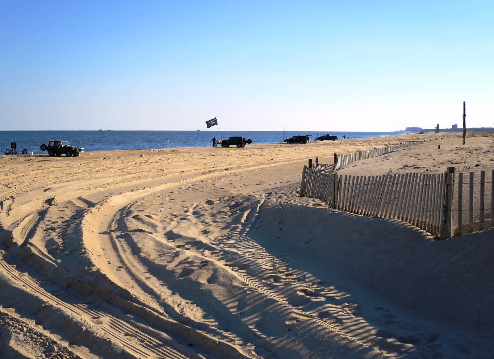 Delaware: The Beach at Cape Henlopen State Park