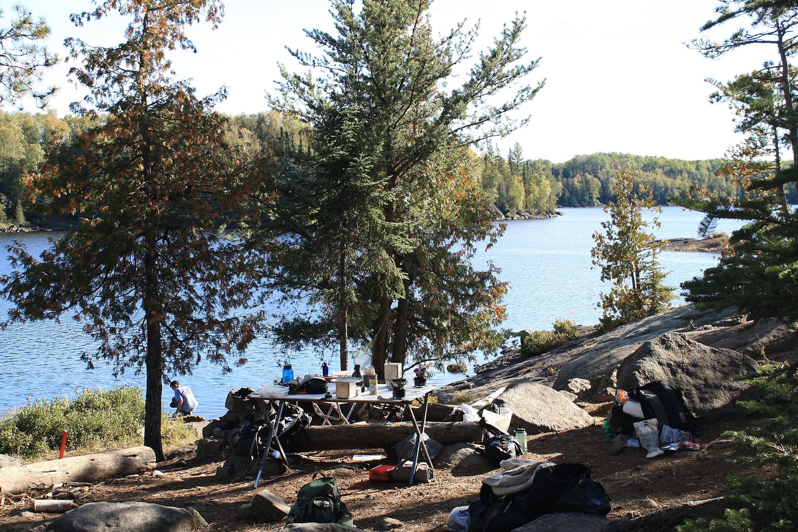 Minnesota: Campsite on lake 3.