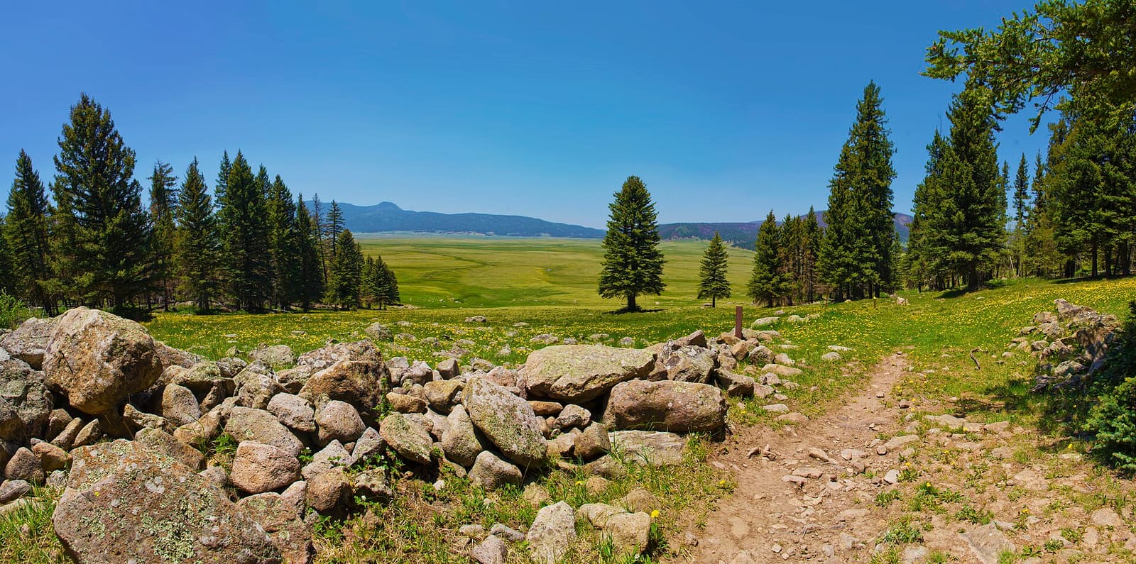New Mexico: Panorama of Valles Caldera, New Mexico