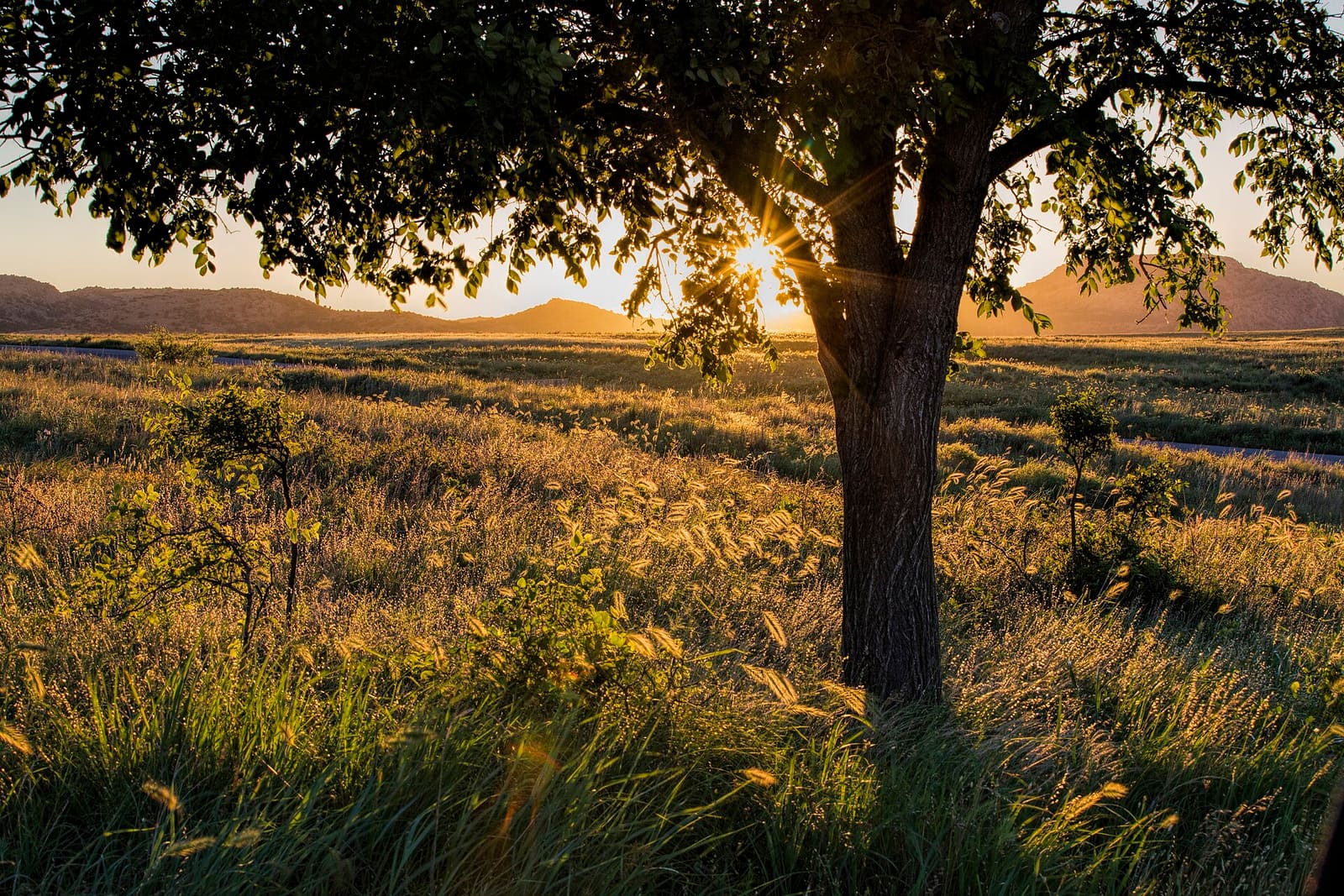 Oklahoma: Wichita Mountains Wildlife Refuge SW Oklahoma