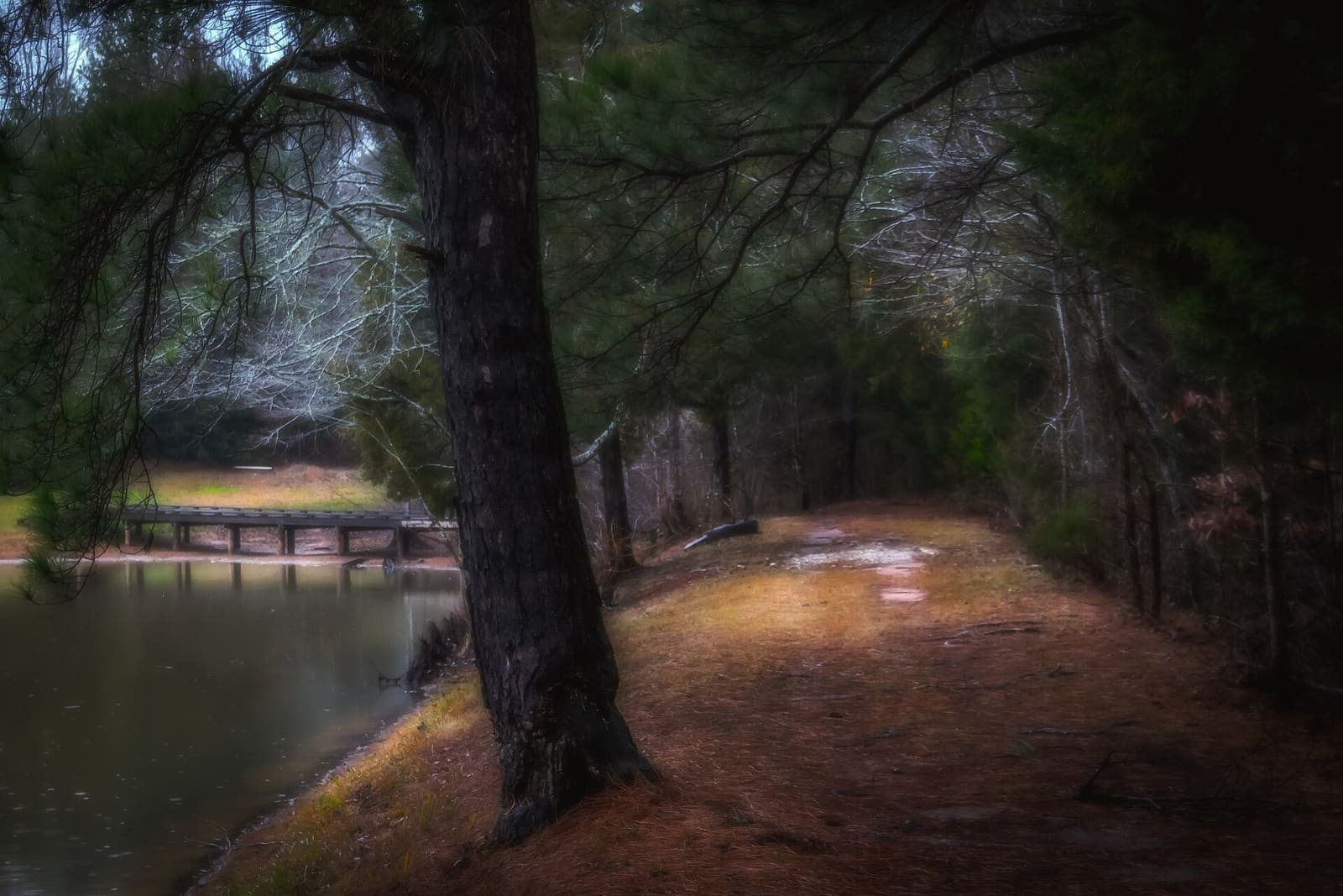 South Carolina: A South Carolina property owner's hidden secret!