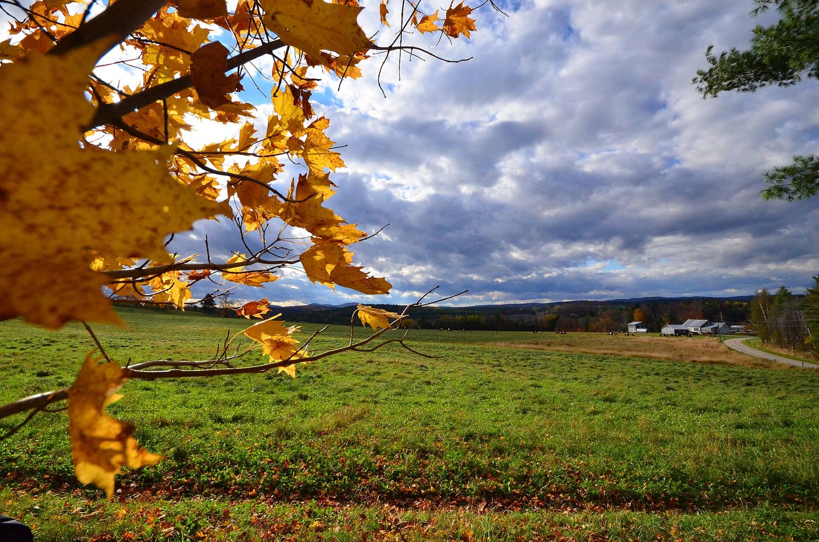 Vermont: Vermont